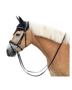 MONTIVUM Trensenzaum Oslo