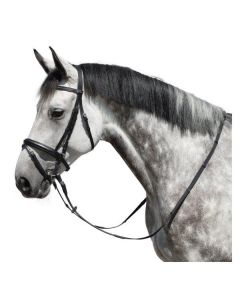 MONTIVUM Trensenzaum Odense