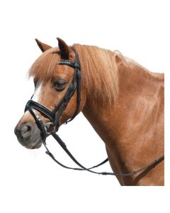 MONTIVUM Trensenzaum Derry