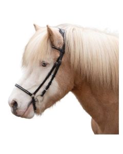 MONTIVUM Islandtrensenzaum Akranes