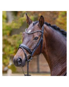 PASSIER Trensenzaum Shadow