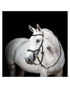 HORSEWARE Micklem Competition Bridle 3.0