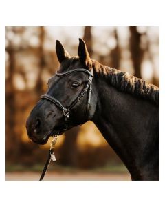 DÖBERT Wanderreitzaum Kiel