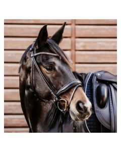 DÖBERT Trensenzaum Berlin