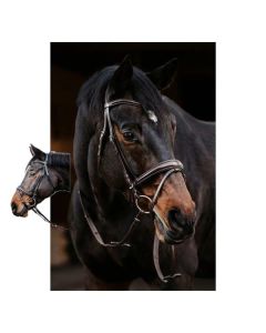 DÖBERT Trensenzaum Köln