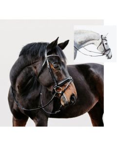 DÖBERT Trensenzaum Mainz