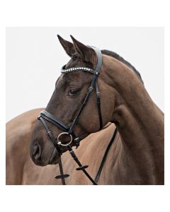 DÖBERT Trensenzaum Hamburg