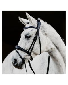 DÖBERT Trensenzaum Leipzig