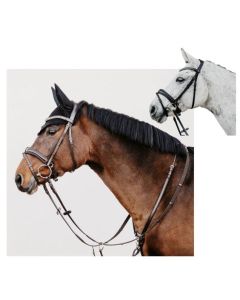 DÖBERT Trensenzaum München Premium