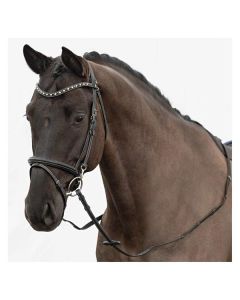 DÖBERT Trensenzaum Düsseldorf Premium