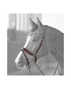 DÖBERT Anatomisches Reithalfter