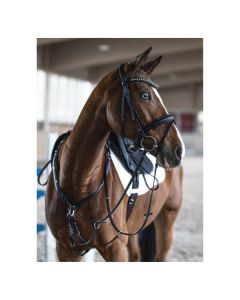 kieffer Trensenzaum Essentials Xia
