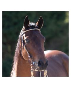 Passion 4Q Westernzaum mit Rohhaut