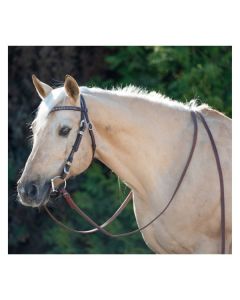 Passion 4Q Westernzaum mit Nieten