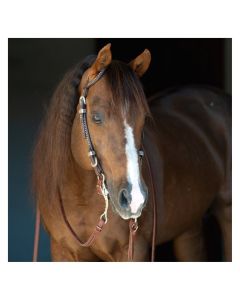 Passion 4Q Western-Einohrzaum mit Nieten