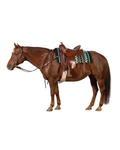 Passion 4Q Western-Vorderzeug in Kroko Optik