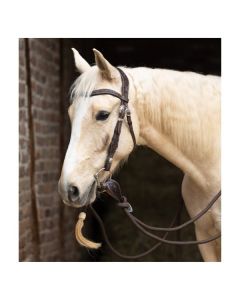 Passion 4Q Western-Zaum Anatomisch