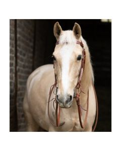 Passion 4Q Sporenriemen ohne Schnalle (1)
