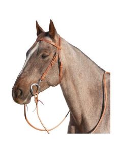 L-pro West Westerntrense Hailey