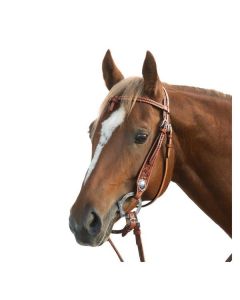 L-pro West Westerntrense