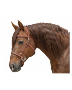 Passion 4Q Sidepull aus Harness Leder