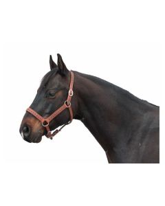 Passion 4Q Lederhalfter