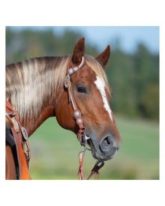 Passion 4Q Zweiohr-Trense