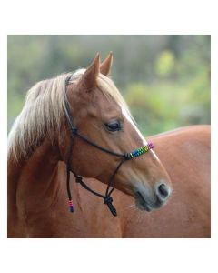 Passion 4Q Knotenhalfter Rainbow