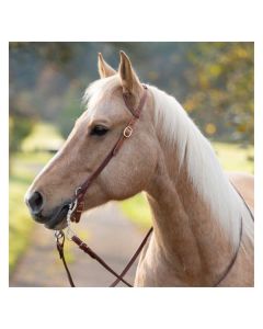 Passion 4Q Einohr-Westerntrense