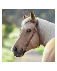 Passion 4Q Westerntrense Harness-Leder