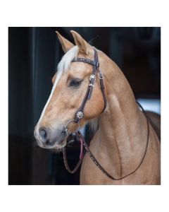 Passion 4Q Westerntrense mit V-Stirnband