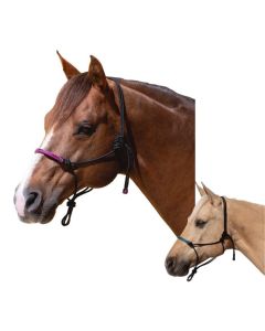 Passion 4Q Knotenhalfter mit Rohhaut