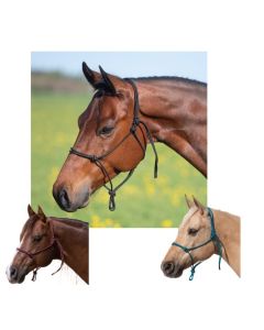 Passion 4Q Knotenhalfter Classic