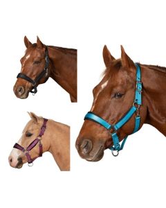 Passion 4Q Nylon Halfter