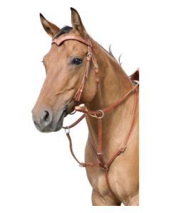 Running-Martingal Harness