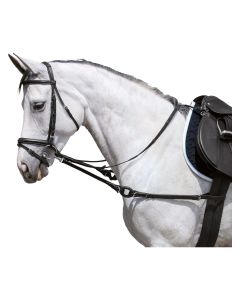 Ausbindezügel mit Gummiringen