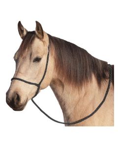 BROCKAMP Halfter Onesize