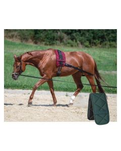 Horse-friends Longiergurt-Unterlage
