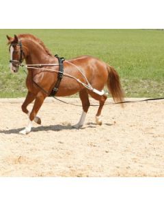 Horse-friends Longiersystem