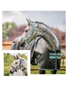 HORSEWARE Halfter Fieldsafe