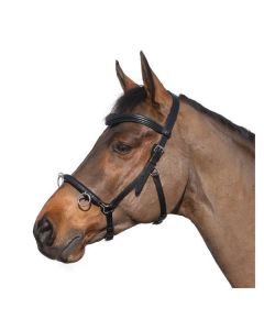 MONTIVUM Kappzaum mit beweglichen Ringen