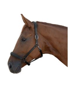 MONTIVUM Lederhalfter