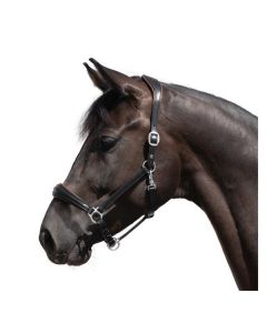 Cheval de Luxe Lederhalfter