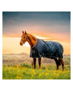 HORSEWARE Weidedecke AMIGO Ripstop 900 Denier, ohne Füllung