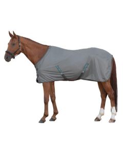 black forest Fliegendecke I