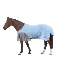 Fliegendecke Belfast, IRISh INNOVATION