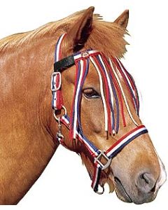 Loesdau Fliegenstirnband Island