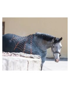 Horse-friends Abschwitzdecke Halloween