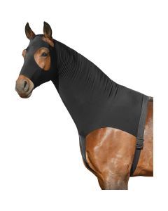 Sleezy, Horse-friends