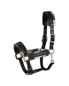 Cavallo Halfter CAVALLAVI